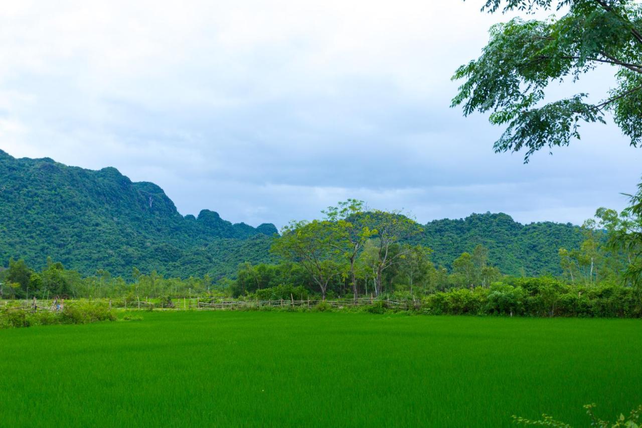Pomelo Homestay Phong Nha Exterior photo
