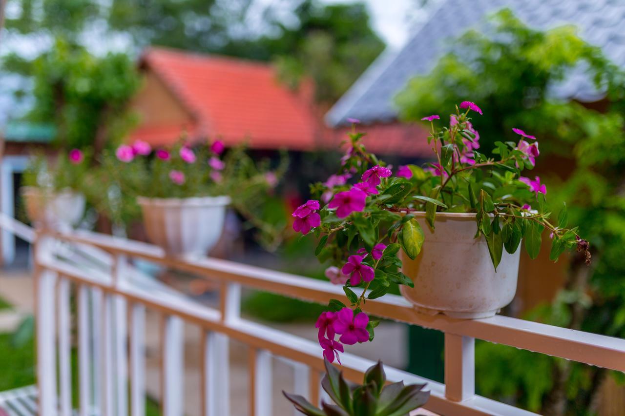 Pomelo Homestay Phong Nha Exterior photo